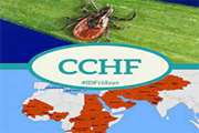  بیماری تب خونریزی دهنده کریمه کنگو (CCHF) چیست؟