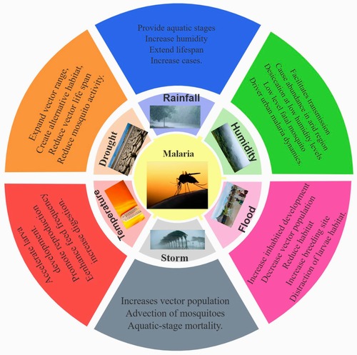 The influence of climatic factors and vector control on malaria incidence in southeast Ir